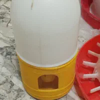 جا دانی و جا آبی پرنده|لوازم جانبی حیوانات|سنندج, |دیوار