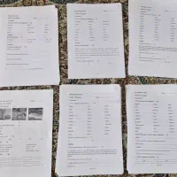 نمونه سوال انگلیسی Big English