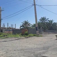 ۸۰ متر مغازه لب جاده شاه اباد خواجه عسکر