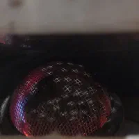 اسباب بازی پیلته ژاپنی|اسباب‌‌بازی|اهر, |دیوار