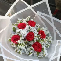 رز های تازهچین با ماندگاری طولانی هدیه خاص|گل و گیاه طبیعی|شیراز, عفیفآباد|دیوار