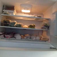 یخچال الکترواستیل|یخچال و فریزر|بومهن, |دیوار