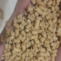 دانه مرغی ۲۴۰ کیلو کیلو ۶۰ هزار
