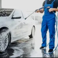 نیروی کار در کارواش