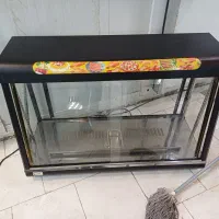 وسایل فست فود|کافی‌شاپ و رستوران|کاشان, زیدی|دیوار