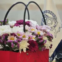 وکیل پایه یک دادگستری و مشاور حقوقی