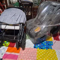 سیسمونی کامل نوزاد