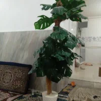 درخت تزیینی|گل مصنوعی|نهاوند, |دیوار