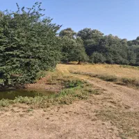 زمین فروشی در ساری،دودانگه،منطقه فریم|فروش زمین و ملک کلنگی|فریم, |دیوار