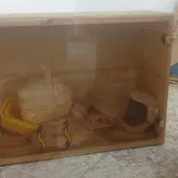کابینت شیشه ای