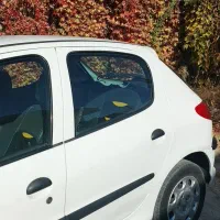 ۲۰۶تیپ ۳ فابریک و خانگی|خودرو سواری و وانت|شیراز, خلیلی|دیوار