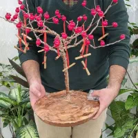 درخت آرزوهایی یلدایی دست ساز|صنایع دستی و سایر لوازم تزئینی|قم, باجک دو|دیوار