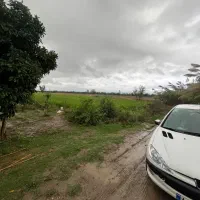 فروش زمین کشاورزی ۲۰۰۰ متری کیاکلا جاده بهنمیر|فروش زمین و ملک کلنگی|کیاکلا, |دیوار