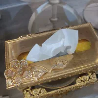 جای دستمال کاغذی و اشغالی دکوری|صنایع دستی و سایر لوازم تزئینی|رشت, استادسرا|دیوار