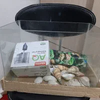 آکواریوم