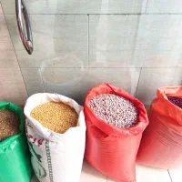 حبوبات و خشکبار قهرمانی