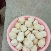 کشک گوسفندی