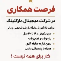 دعوت به همکاری در آکادمی اقای اینستا