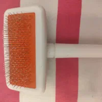 برس سگ و گربه