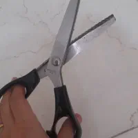 قیچی دالبر