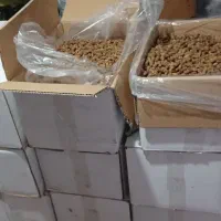 توت امساله