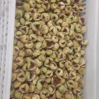 عرضه انجیر خشک دهن باز