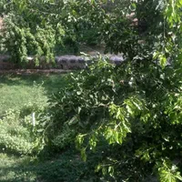 ویلای بزرگ چادگان زاینده رود ساحلی