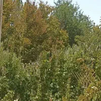 آپارتمان125متر 3 خواب پردیس