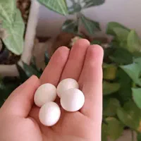 پرنده|پرنده|اصفهان, بهارستان|دیوار