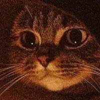 واگذاری رایگان سگ را قبول داریم