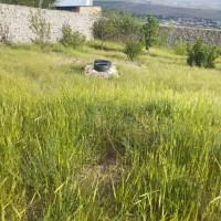 باغچه-سنددار-تک-برگ