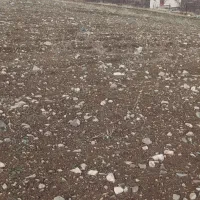 فروش زمین در روستای بلوس