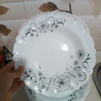 ظروف آرکوپال