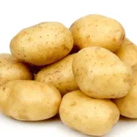 قارچ و تره بار|خوردنی و آشامیدنی|شیراز, محراب|دیوار