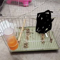 قفس پرنده
