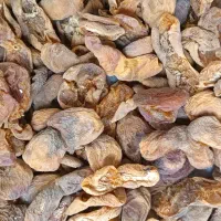 زرد آلو خشک