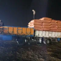 کاه گندم کرمانشاه