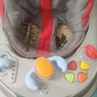 روروئک،کریر،ساک بچه