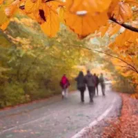 راهنمایی کنین