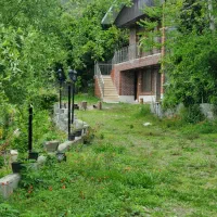 باغ ویلا جنگلی/چشم انداز باغات