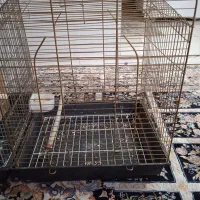 قفس پرنده بالونه وتاب وغذاخوری|لوازم جانبی حیوانات|تهران, امام زاده عبدالله|دیوار