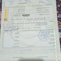 ماشین پژو پارس|خودرو سواری و وانت|چابهار, |دیوار