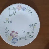 بشقاب ارکوپال