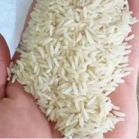 فروش برنج هاشمی