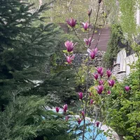 مرکز تخصصی مشارکت ۵هکتار دارای دستور نقشه آماده|مشارکت در ساخت املاک|تهران, سعادت‌آباد|دیوار