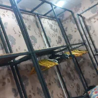 رگال چوب رختی