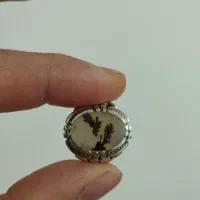 اولی شجر17گرم قیمت7200دومی اوپال7200