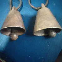 زنگوله گوسفندیز