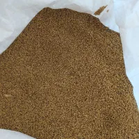 بذر یونجه رنجر