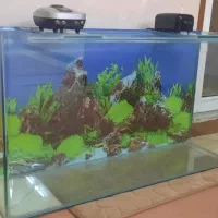 آکواریوم شیشه خم کم مصرف